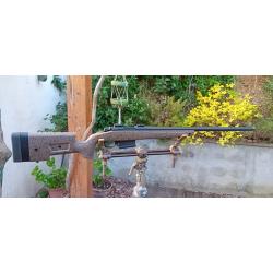 Carabine BERGARA B14