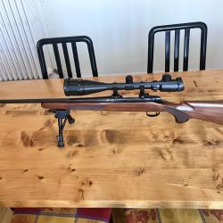 Carabines &agrave; verrou Calibre 243 Winchester Remington 700 Bois