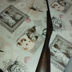 Carabine 9mm flobert syst&egrave;me warnant