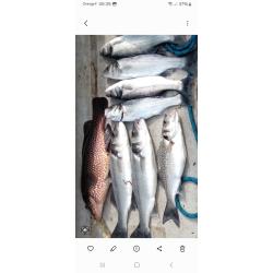 Lot de leurres mer VIPER et PHANTOM SP&Eacute;CIAL BAR EFFICACIT&Eacute; REDOUTABLE