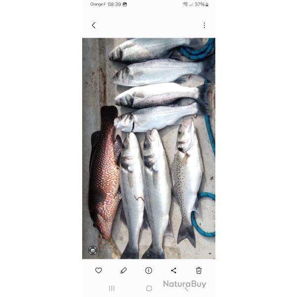 Lot de leurres mer VIPER et PHANTOM SP�CIAL BAR EFFICACIT� REDOUTABLE