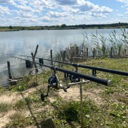 4 Cannes Free Spirit classe E en tres bon &eacute;tat. Haute qualit&eacute; carbone