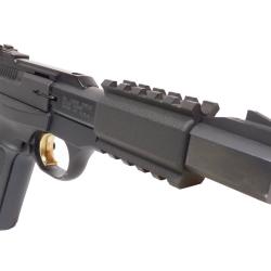 Double rail tactique picatinny pour BROWNING Buckmark