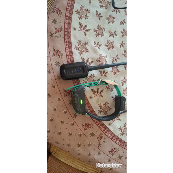 Collier +centrale dogtra pathfinder