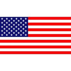 Drapeau USA Miltec