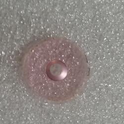 Insert guidon transparent taille 3,1 plastique Ansch&uuml;tz