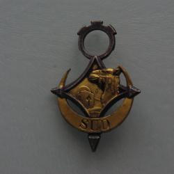 INSIGNE DU  DIVISION  SUD  TUNISIEN   ----- SAHARIEN -----------------