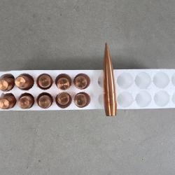 Ogives lehigh defense .375 353 grs