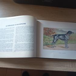 Vente livre animaux &eacute;dition Manufrance "chien de chasse &eacute;dition 1965""nuisible et rapace"