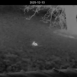 Pixfra Mile 2 mod&egrave;le  M625 NEUF