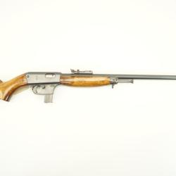 carabine unique x51 22lr semi-auto  pour ench&egrave;re 1� sans prix de r&eacute;serve 34P8L1