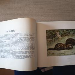 Livre "nuisibles et rapaces"&eacute;dition Manufrance