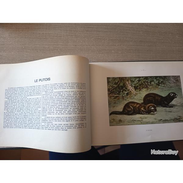 Livre "nuisibles et rapaces"�dition Manufrance