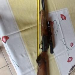 Carabine mixte 9 mm et 22 LR