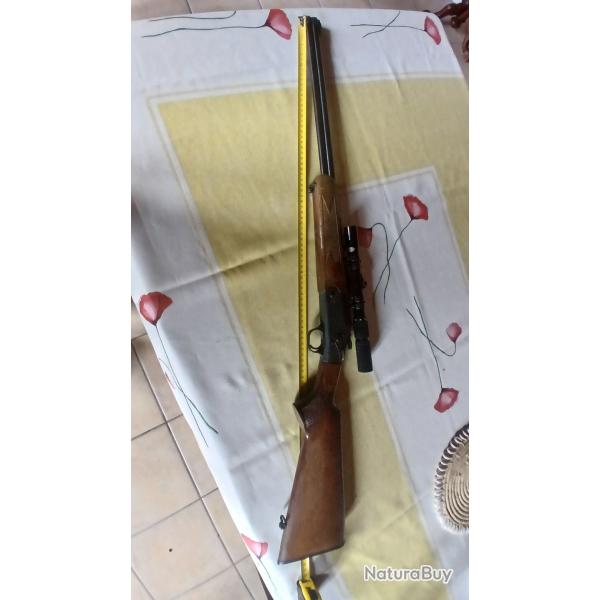 Carabine mixte 9 mm et 22 LR