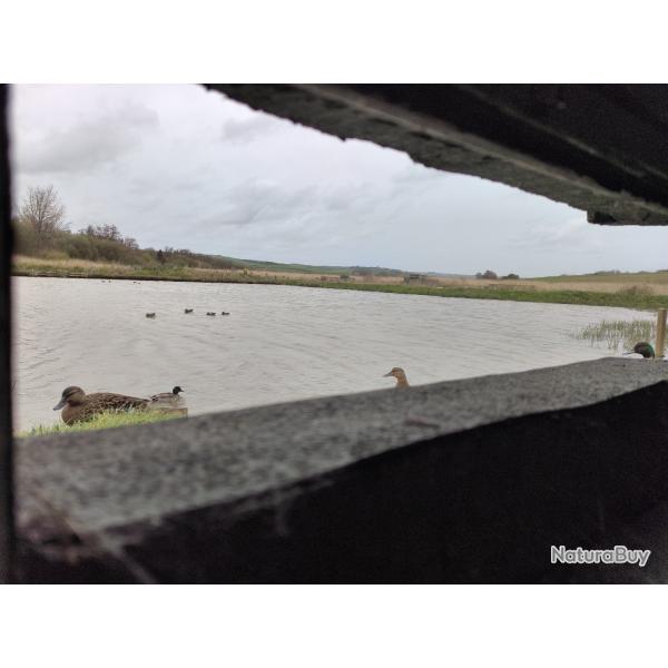 Hutte de chasse - Marais de la Slack (62)