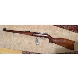 carabine semi automatique