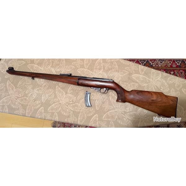 carabine semi automatique