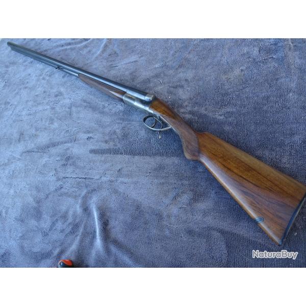 Beau fusil Robust Id�al ray�.
