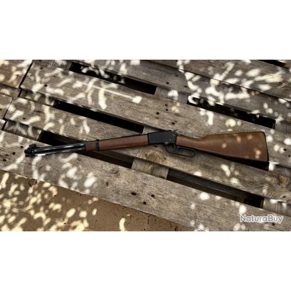Carabine Chiappa LA322 Take Down .22 LR - Crosse bois - Bon �tat