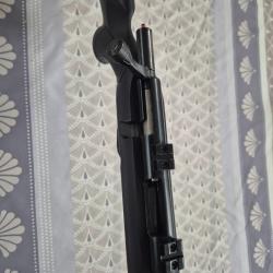 Carabine 17 hmr plinkster mod 817