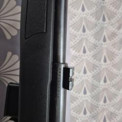 Carabine 17 hmr plinkster mod 817