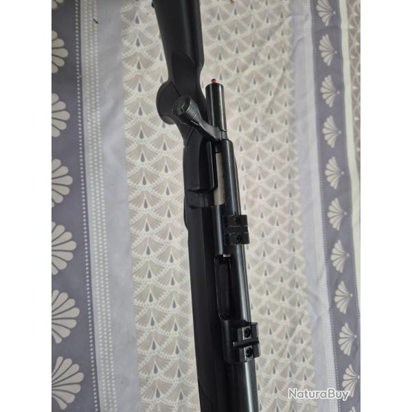 Carabine 17 hmr plinkster mod 817