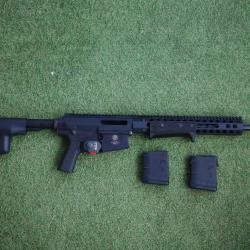 Carabine - TROY P.A.R .308Win