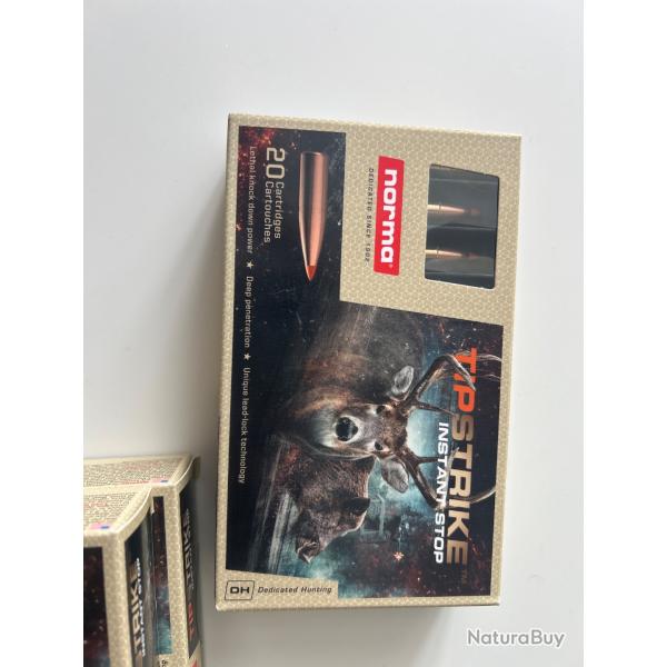 Norma tip strike 270 win