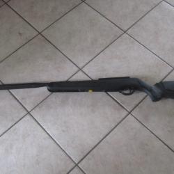 carabine air comprim&eacute; gamo