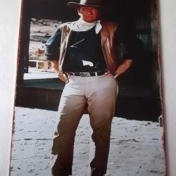 Plaque d&eacute;co western Ws