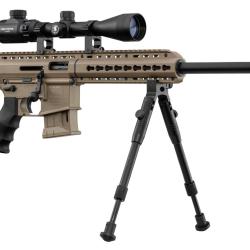Pack Carabine Pallas BA-15 .22 LR Tactical TAN - Lunette + Bipied - GUNSMITH