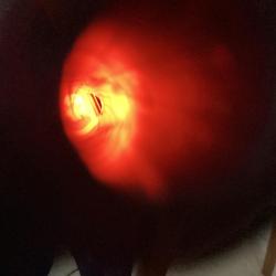 Colt python 357 magnum