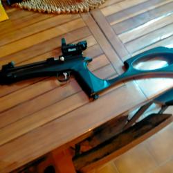 Carabine artemis cp2