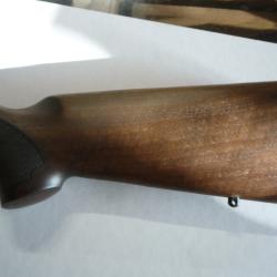 Crosse carabine semi auto verney carron