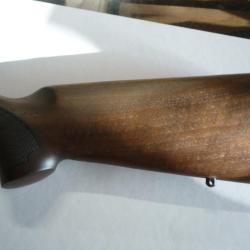 Crosse carabine semi auto verney carron
