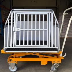 CAISSE DE TRANSPORT POUR CHIEN DE MARQUE BRAVEUR