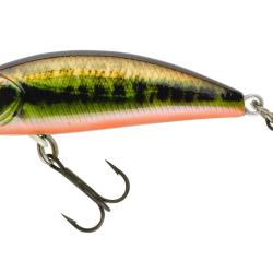 Poisson Nageur Sakura Phoxy Minnow HW 40S 2g 4cm Sinking RL19 - REAL LIFE SPAWNING VAIRON