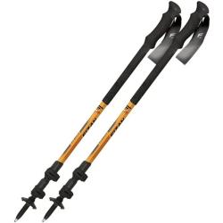 Fizan - B&acirc;tons de randonn&eacute;e ELBRUS (la paire)