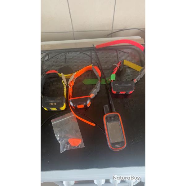 Station alfa 100 et collier gps garmin