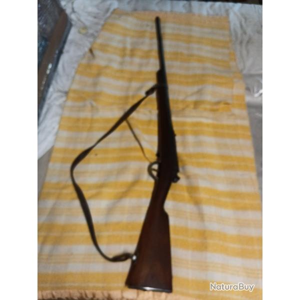 Chassepot 1874 transformer  chasse