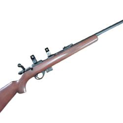 Carabine Armscor, mod 1500, calibre 22 magnum, Philippines, cat&eacute;gorie C