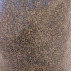 ch&egrave;nevis (graine de chanvre)