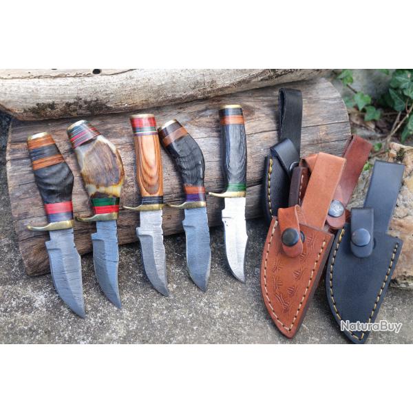 LOT DE 5 Couteau Skinner Damas Lame 256 Couches Manche Bois Corne de B�lier Fab Artisanale Etui Cuir