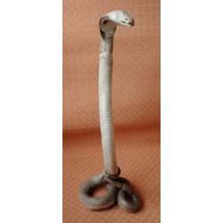 Serpent Naja naturalis&eacute;