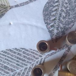 Balle a broche Cal 7mm. ( 2 )