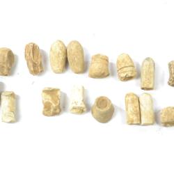 Lot, ogives, Guerre Franco-prussienne 1870 Sedan Bazeilles (A)