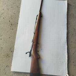 carabine300 luger Magnum