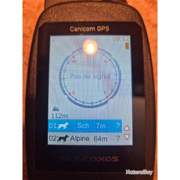 Collier NUM'AXES Centrale et collier gps