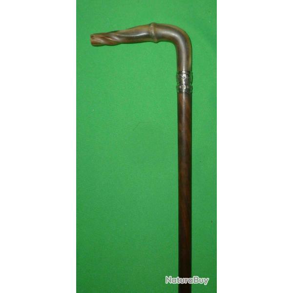 BELLE CANNE POMMEAU EN OS 89cm